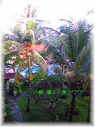 d0035823_1632259.jpg