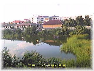 d0035823_16361563.jpg