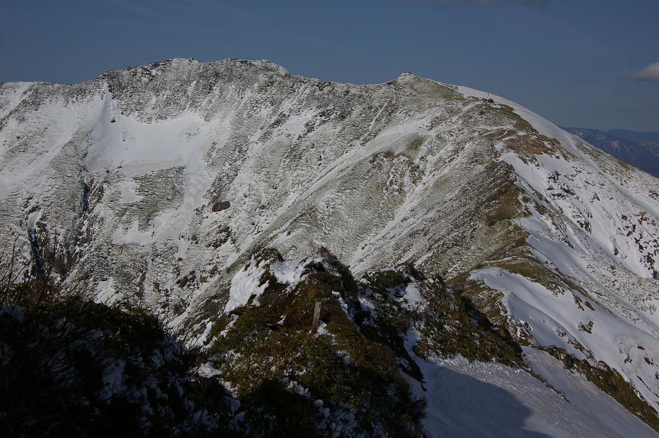 b0062024_71890.jpg