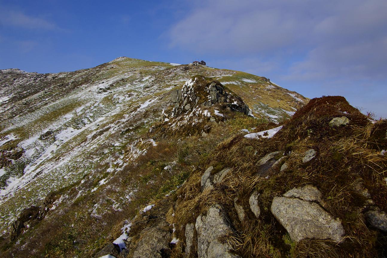 b0062024_763879.jpg