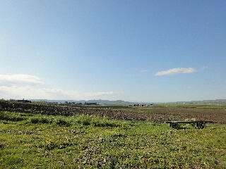 f0181524_22543013.jpg