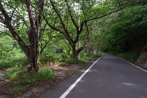 f0007926_116229.jpg
