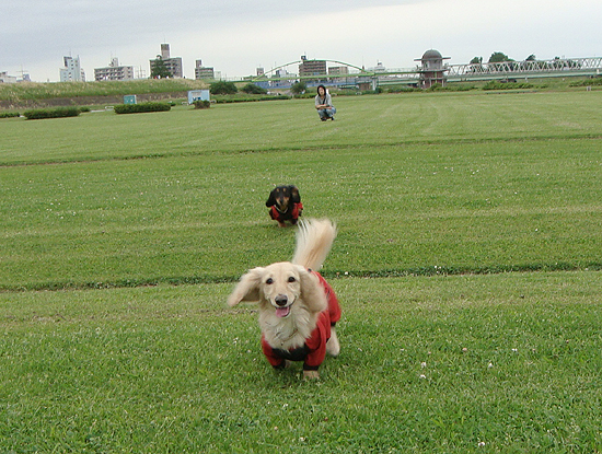 c0117831_20372519.jpg