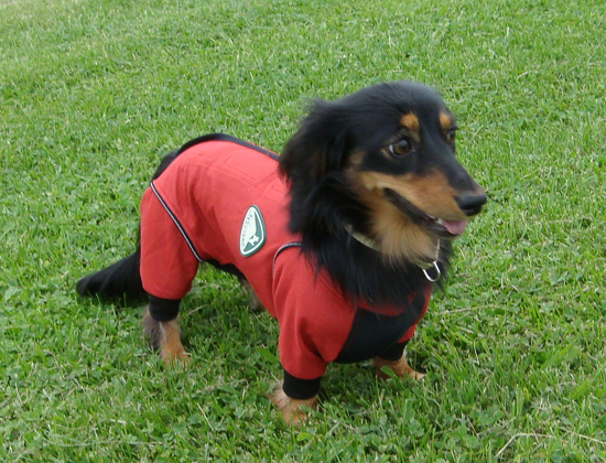 c0117831_20391266.jpg