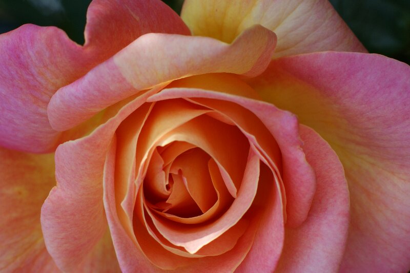 a0122932_8523649.jpg