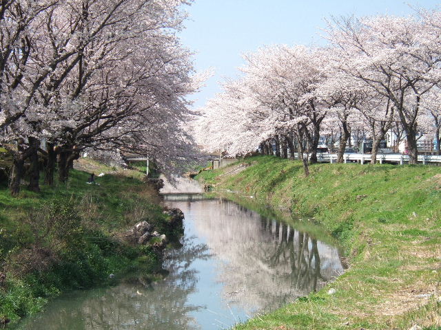 e0064133_23571921.jpg