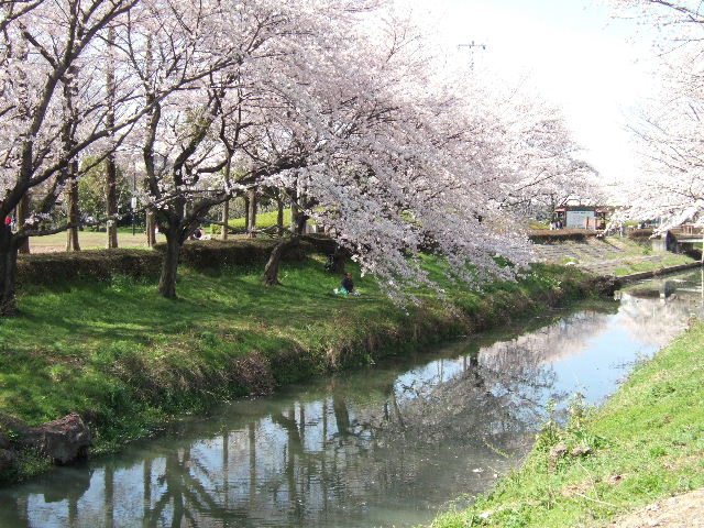 e0064133_23573152.jpg