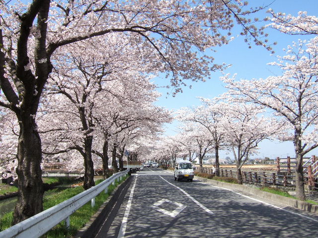 e0064133_2357365.jpg