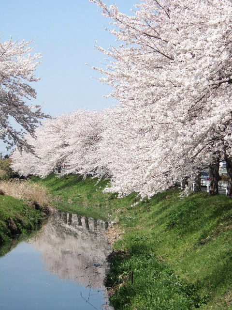 e0064133_23574167.jpg