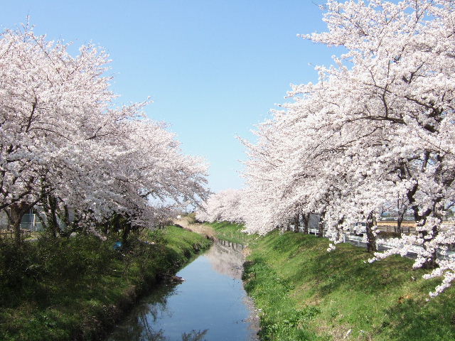 e0064133_23574655.jpg