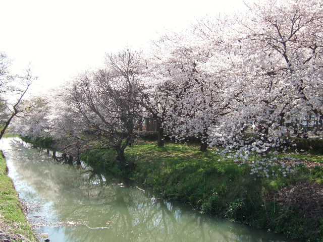 e0064133_2357525.jpg