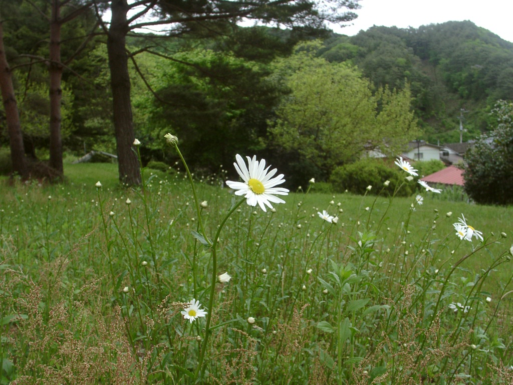 d0007735_22252690.jpg