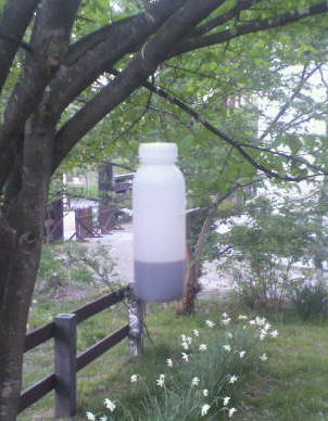 c0206649_1962281.jpg
