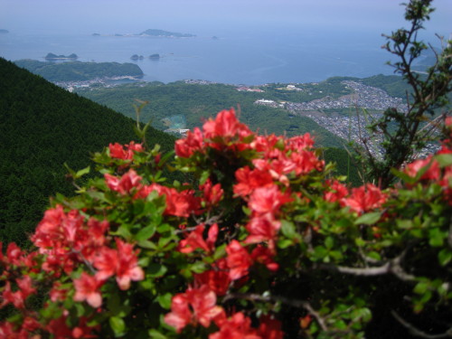 c0179351_18145234.jpg