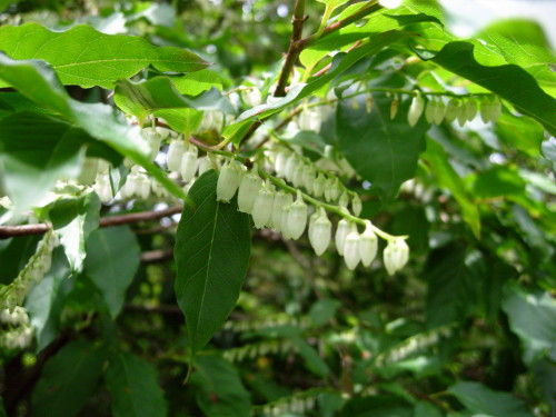 c0179351_18212827.jpg