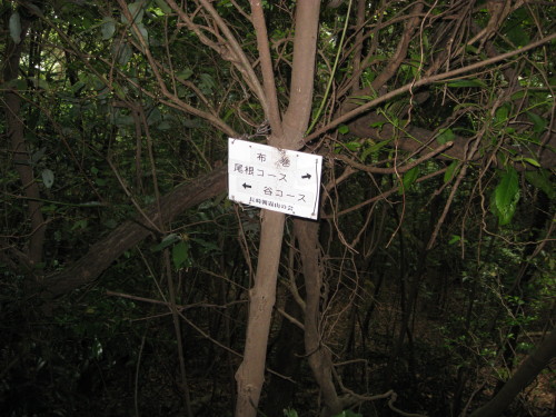 c0179351_18271861.jpg