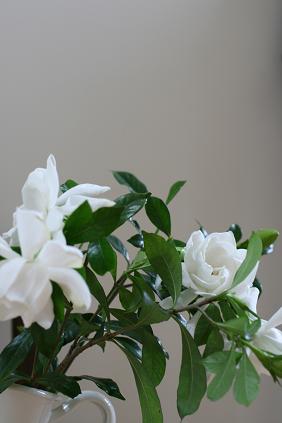 f0032653_23384420.jpg