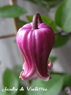 e0118257_1713666.jpg