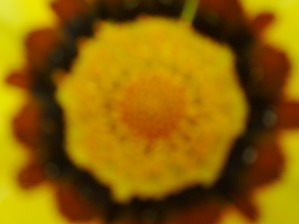 e0175258_20271376.jpg
