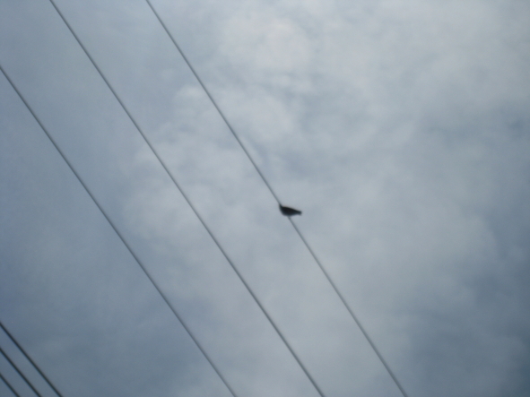e0175258_2031498.jpg