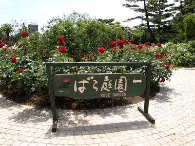 e0129862_21112462.jpg