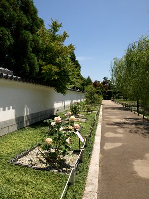 e0129862_21242061.jpg