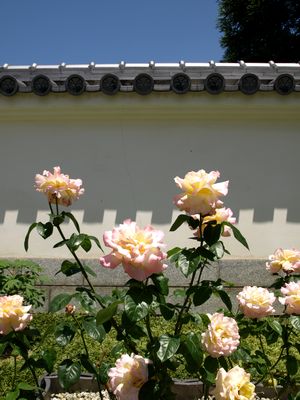 e0129862_21245321.jpg