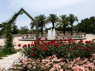 e0129862_21340100.jpg