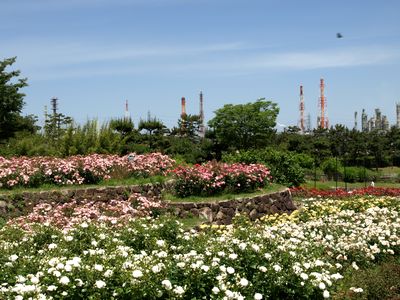 e0129862_21411449.jpg