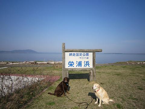 d0120665_19515534.jpg