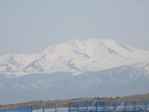 d0120665_21121959.jpg