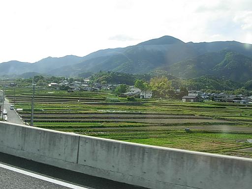 d0048366_16373684.jpg