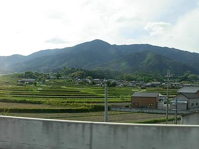 d0048366_1638203.jpg