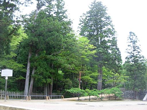 d0048366_17174558.jpg