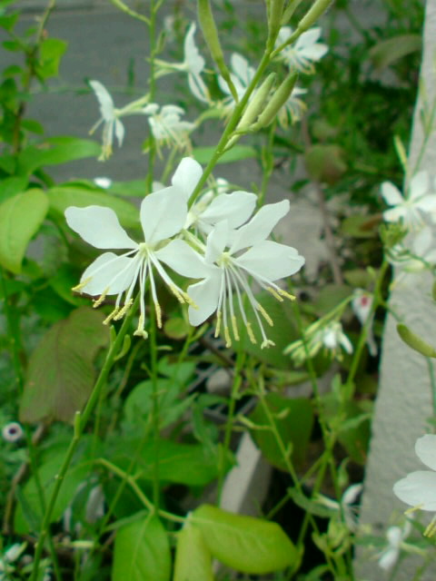 f0220768_14413044.jpg