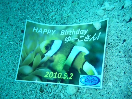 c0181073_651212.jpg