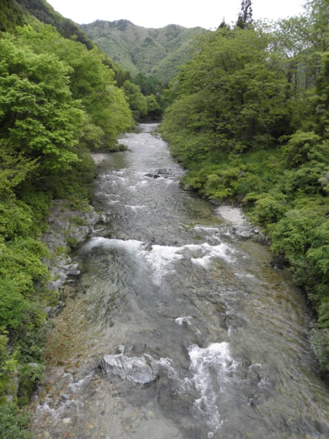 d0134473_10184621.jpg