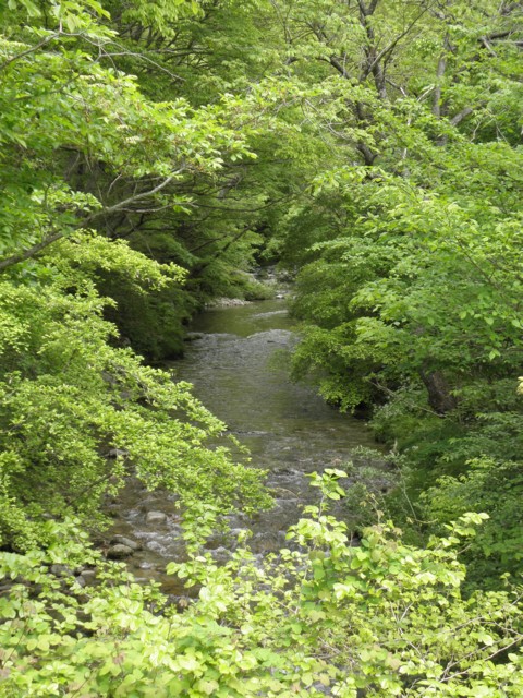 d0134473_10195146.jpg