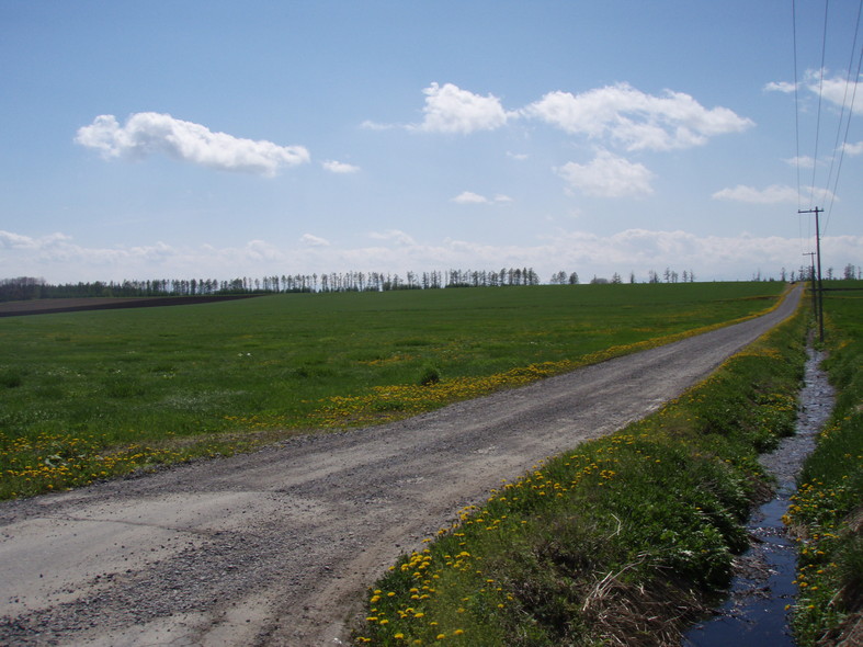 a0169776_18401242.jpg