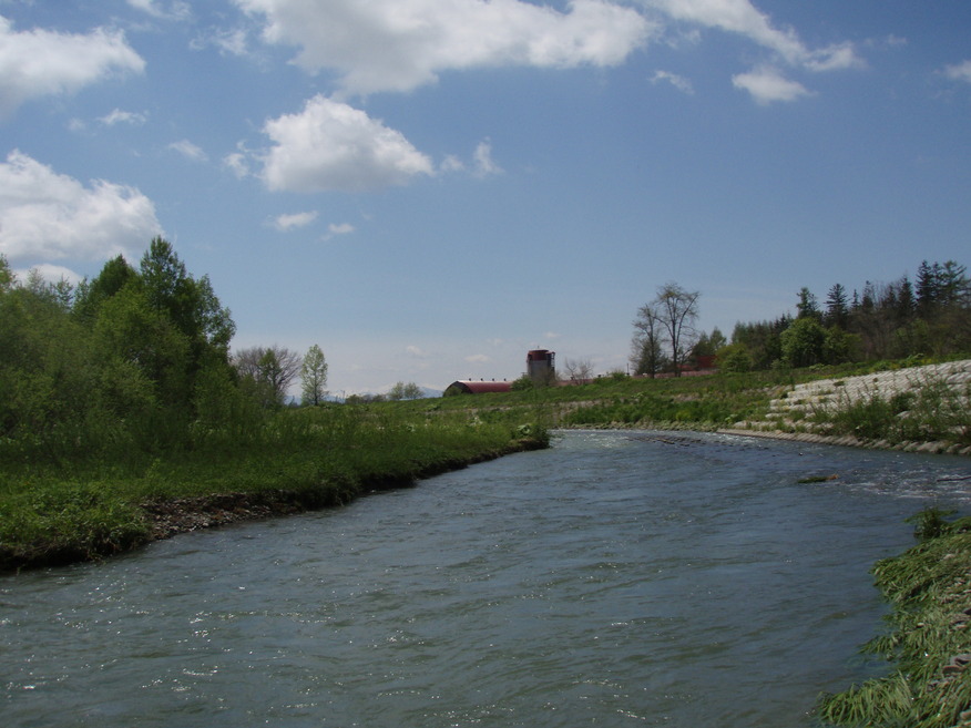 a0169776_18432647.jpg