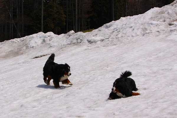 c0149178_16471920.jpg