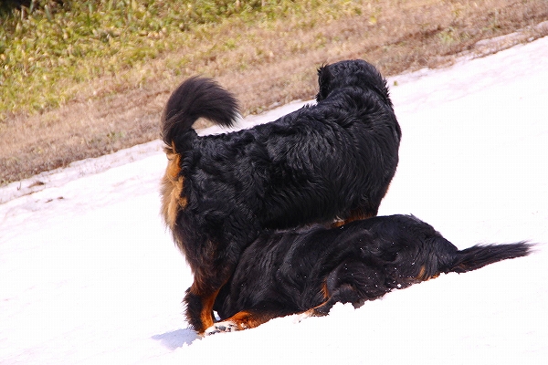 c0149178_16582712.jpg