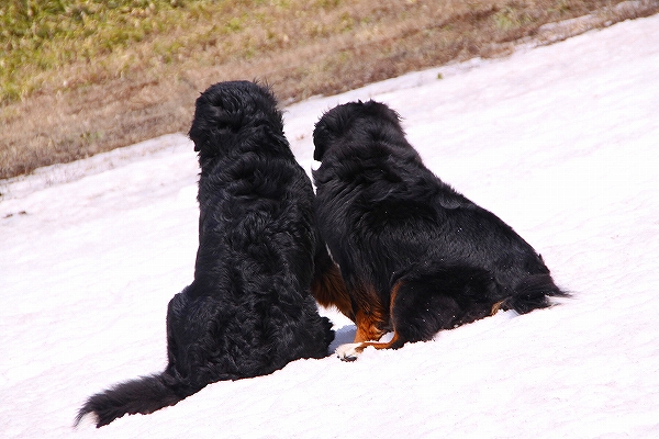 c0149178_1659240.jpg