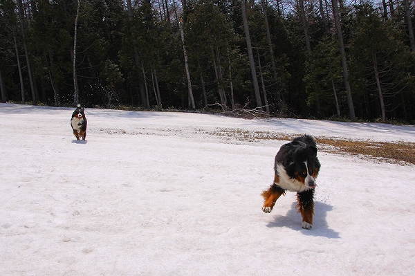 c0149178_1731812.jpg