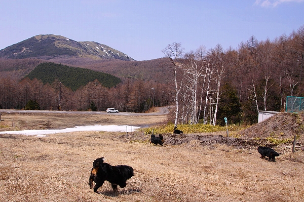 c0149178_1734973.jpg