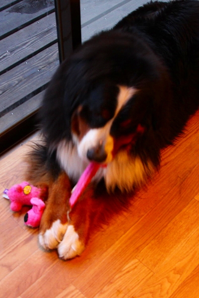c0149178_20301034.jpg