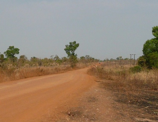 f0204578_832890.jpg