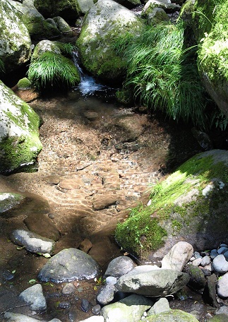 f0167382_21164077.jpg