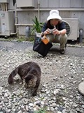 c0189683_19186100.jpg