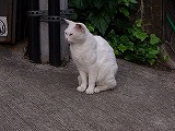 c0189683_1925751.jpg